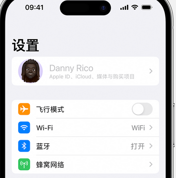 松溪appleID维修服务iPhone设置中Apple ID显示为灰色无法使用 