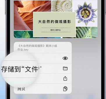 松溪apple维修中心分享iPhone文件应用中存储和找到下载文件