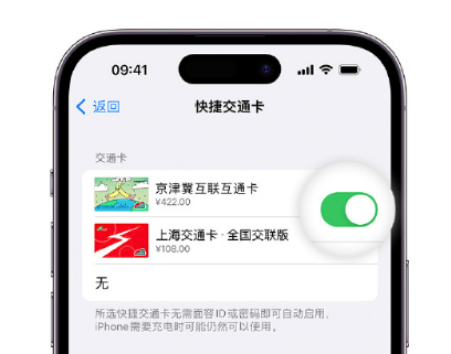 松溪apple维修点分享iPhone上更换Apple Pay快捷交通卡手绘卡面 