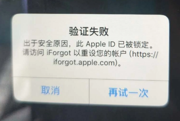 松溪iPhone维修分享iPhone上正常登录或使用AppleID怎么办 