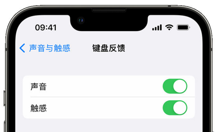 松溪苹果手机维修分享iPhone 14触感键盘使用方法 