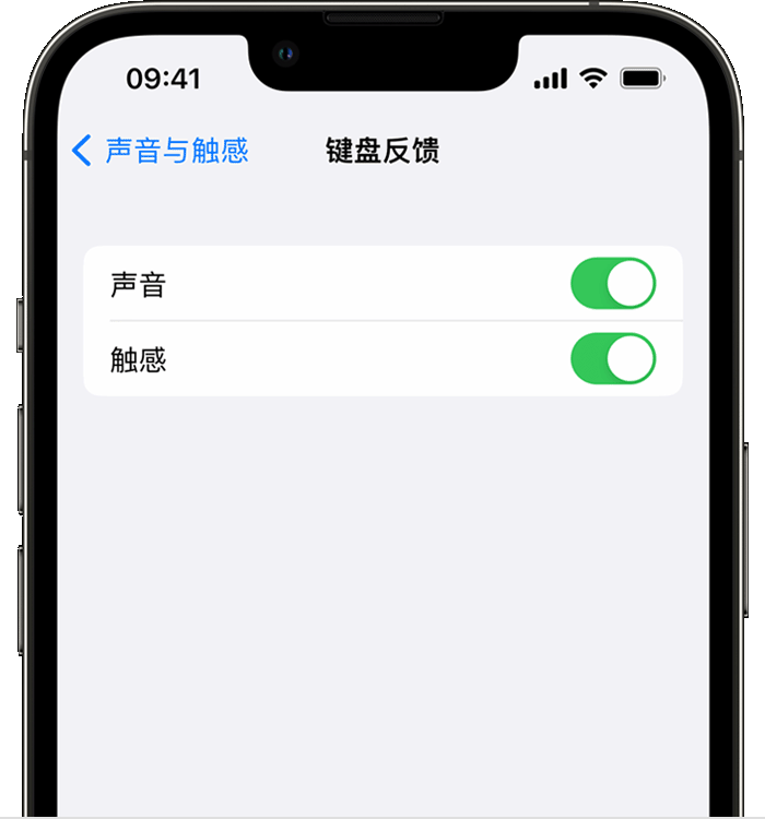 松溪苹果14维修店分享如何在 iPhone 14 机型中使用触感键盘 