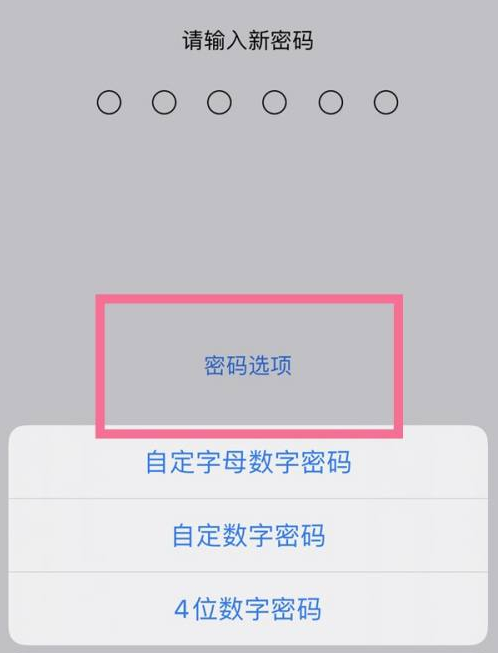 松溪苹果14维修分享iPhone 14plus设置密码的方法 