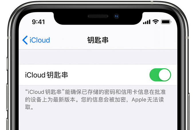 松溪苹果手机维修分享在 iPhone 上开启 iCloud 钥匙串之后会储存哪些信息 