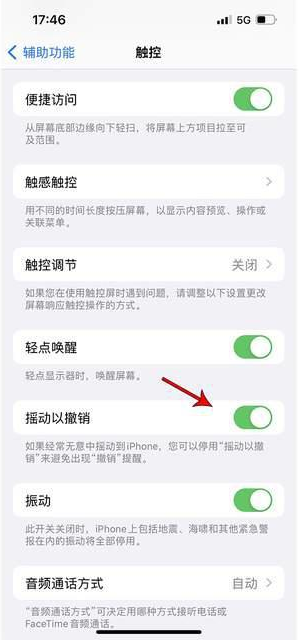 松溪苹果手机维修分享iPhone手机如何设置摇一摇删除文字 